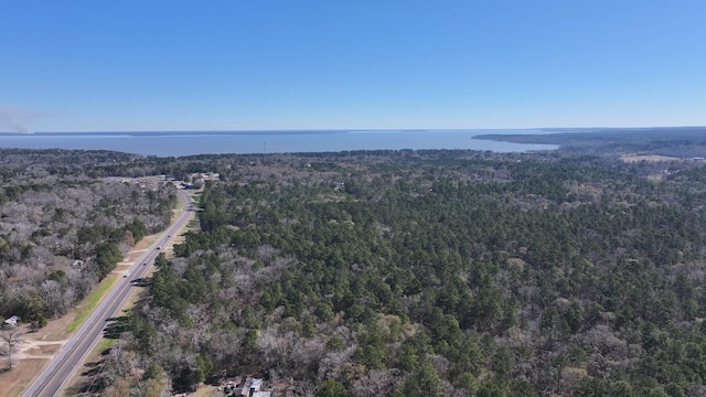 TBD US-190, Point Blank, TX 77364 - photo 6