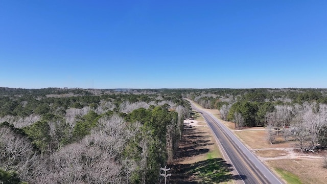 TBD US-190, Point Blank, TX 77364 - photo 11