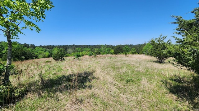 TBD US-190, Point Blank, TX 77364 - photo 13
