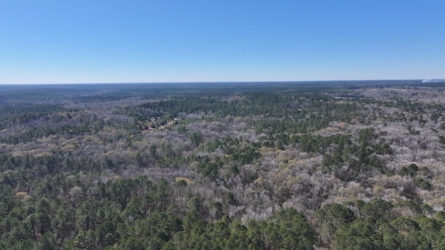 TBD US-190, Point Blank, TX 77364 - photo 15