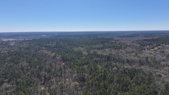 TBD US-190, Point Blank, TX 77364 - photo 16