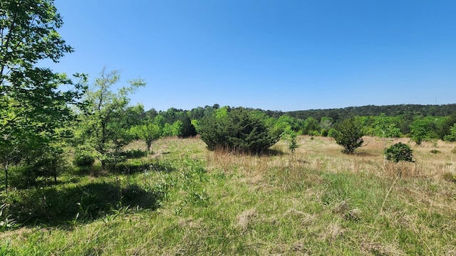 TBD US-190, Point Blank, TX 77364 - photo 18
