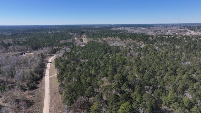 TBD US-190, Point Blank, TX 77364 - photo 19