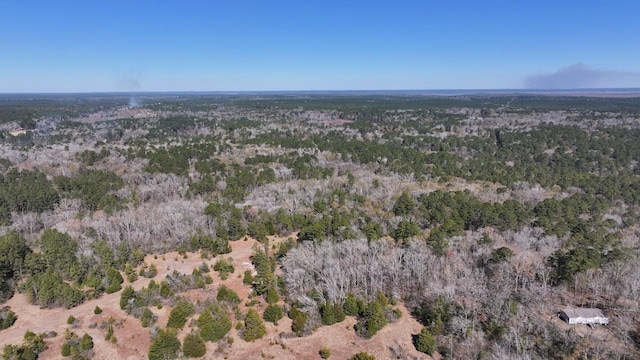 TBD US-190, Point Blank, TX 77364 - photo 20