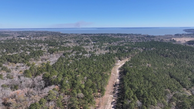 TBD US-190, Point Blank, TX 77364 - photo 21