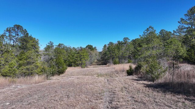 TBD US-190, Point Blank, TX 77364 - photo 22