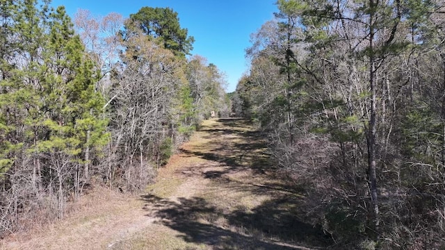 TBD US-190, Point Blank, TX 77364 - photo 23