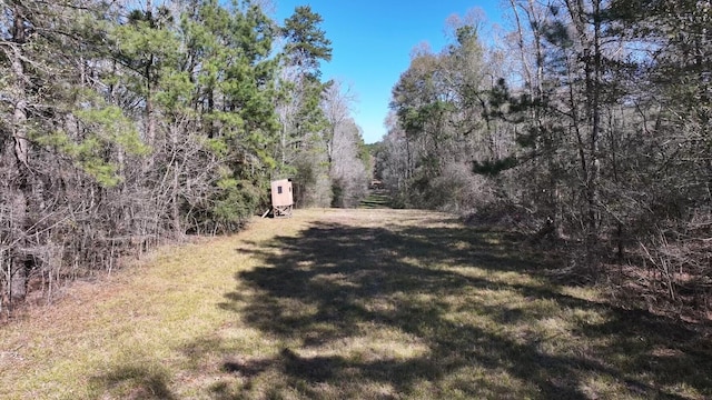 TBD US-190, Point Blank, TX 77364 - photo 24