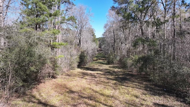TBD US-190, Point Blank, TX 77364 - photo 25