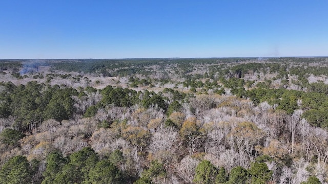 TBD US-190, Point Blank, TX 77364 - photo 27