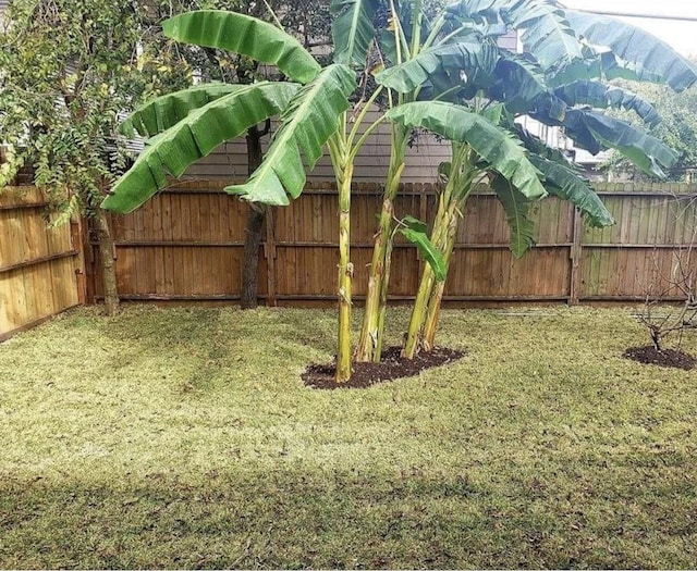 4313 Polk St, Houston, TX 77023 - photo 3