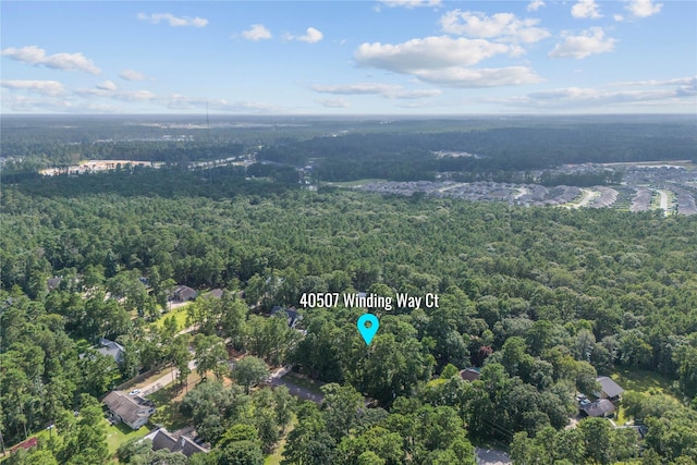 40507 Winding Way Ct, Magnolia, TX 77354 - photo 44
