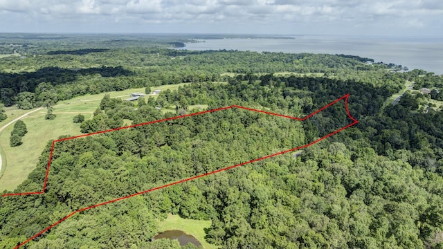 0 Paradise Dr, Coldspring, TX 77331 - photo 1