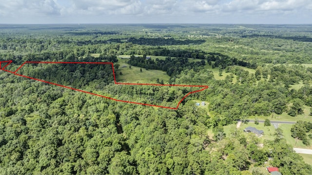 0 Paradise Dr, Coldspring, TX 77331 - photo 2