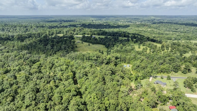 0 Paradise Dr, Coldspring, TX 77331 - photo 5