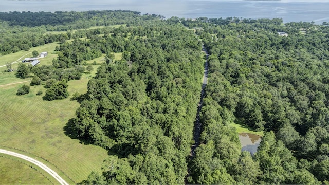 0 Paradise Dr, Coldspring, TX 77331 - photo 8