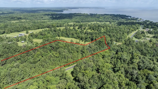 0 Paradise Dr, Coldspring, TX 77331 - photo 9