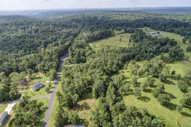 0 Paradise Dr, Coldspring, TX 77331 - photo 15