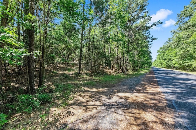 0 Paradise Dr, Coldspring, TX 77331 - photo 3