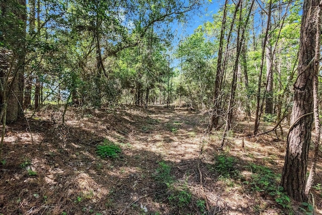 0 Paradise Dr, Coldspring, TX 77331 - photo 4