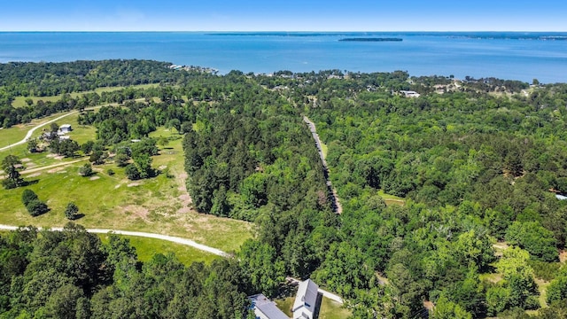 0 Paradise Dr, Coldspring, TX 77331 - photo 6