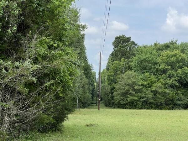 3 Fm 2445th Rd, Navasota, TX 77868 - photo 11