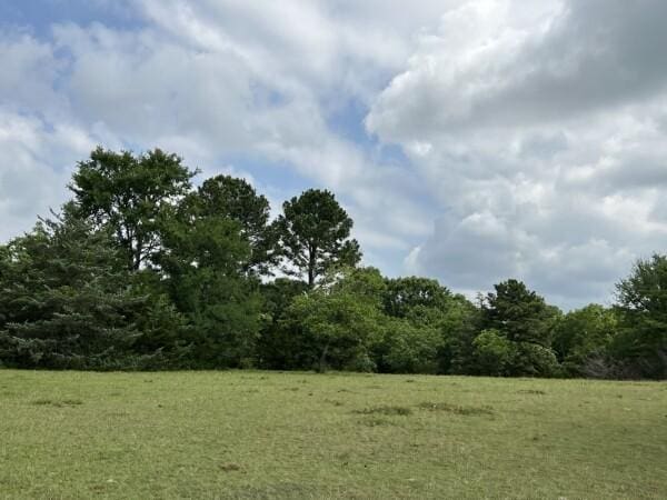 3 Fm 2445th Rd, Navasota, TX 77868 - photo 12