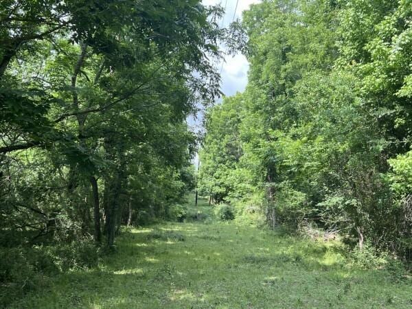 3 Fm 2445th Rd, Navasota, TX 77868 - photo 13