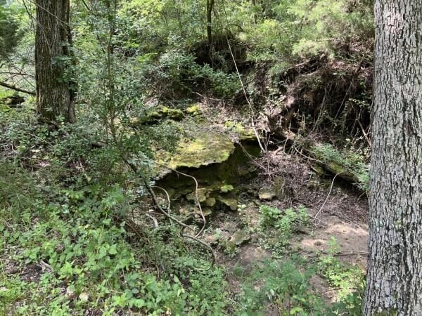 3 Fm 2445th Rd, Navasota, TX 77868 - photo 15
