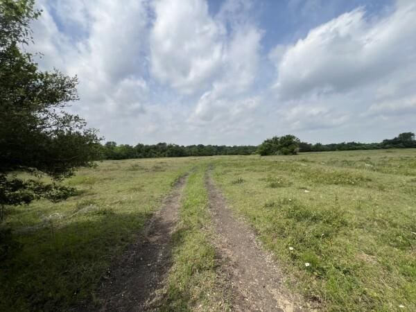 3 Fm 2445th Rd, Navasota, TX 77868 - photo 5