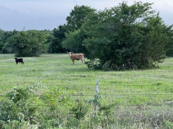 3 Fm 2445th Rd, Navasota, TX 77868 - photo 6