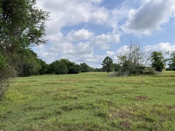 3 Fm 2445th Rd, Navasota, TX 77868 - photo 7