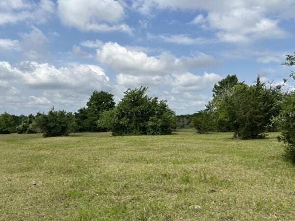 3 Fm 2445th Rd, Navasota, TX 77868 - photo 8