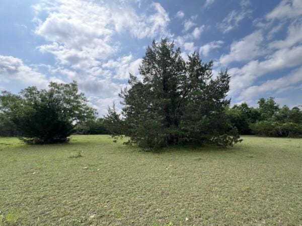 3 Fm 2445th Rd, Navasota, TX 77868 - photo 9