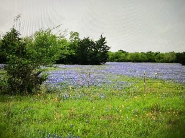 3 Fm 2445th Rd, Navasota, TX 77868 - photo 1
