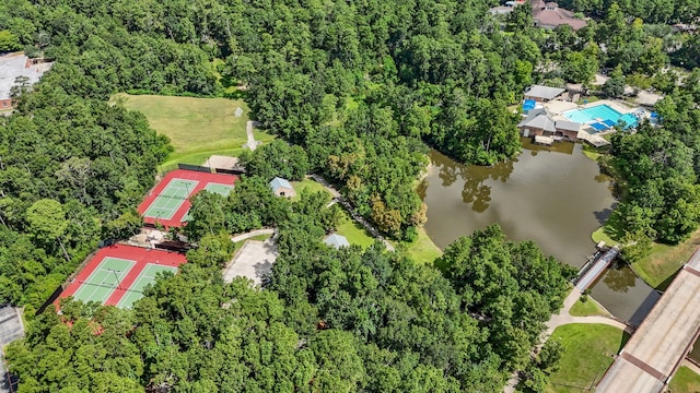 7 Verbena Bend Pl, The Woodlands, TX 77382 - photo 40