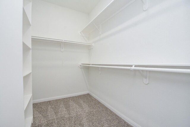 2807 Topiary Ln, Houston, TX 77014 - photo 19