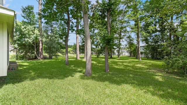 6906 Nickaburr Creek Dr, Magnolia, TX 77354 - photo 27