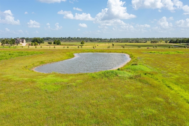 TBD Guyler Rd, Simonton, TX 77476 - photo 14