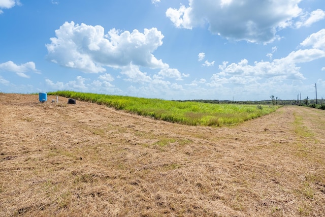 TBD Guyler Rd, Simonton, TX 77476 - photo 12