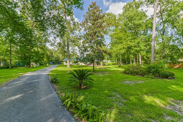 30 E Rivercrest Dr, Houston, TX 77042 - photo 4
