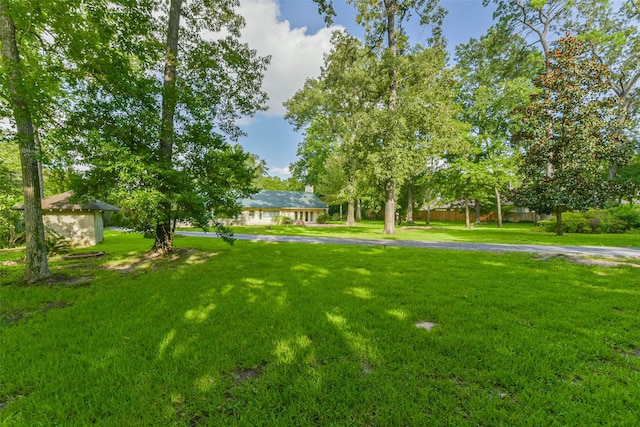 30 E Rivercrest Dr, Houston, TX 77042 - photo 16