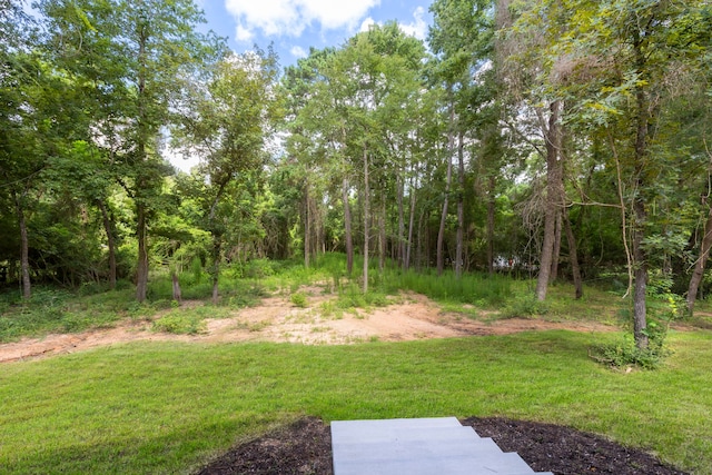 40715 Pipestone Rd, Magnolia, TX 77354 - photo 37