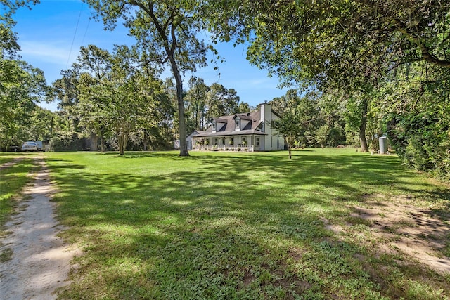 47 Dana Dr, New Waverly, TX 77358 - photo 8