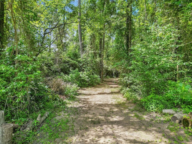 47 Dana Dr, New Waverly, TX 77358 - photo 46
