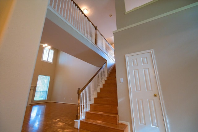 1115 Sussex Trl, Pearland, TX 77584 - photo 21