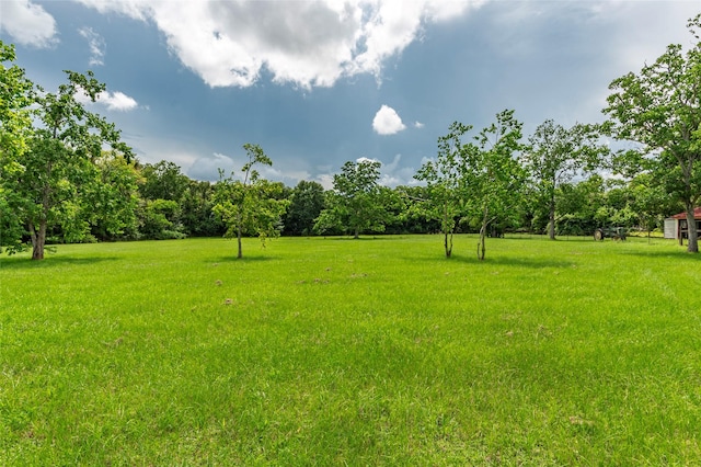 2023 Leisure Ln, League City, TX 77573 - photo 44
