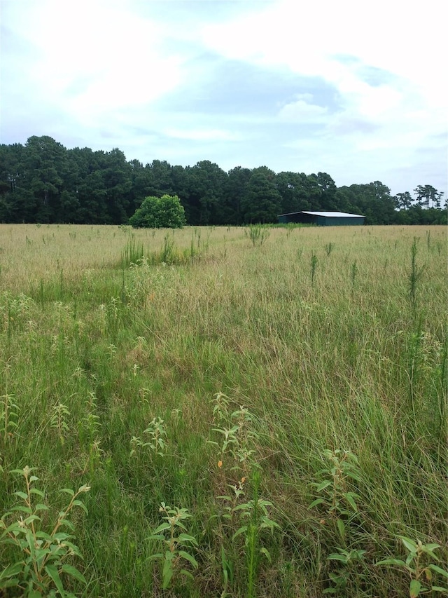 6111 County Road 344, Navasota, TX 77868 - photo 4