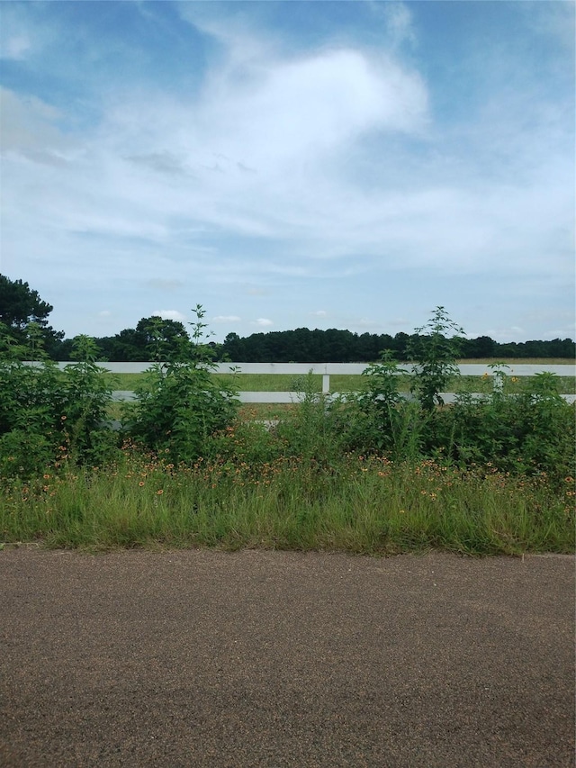 6111 County Road 344, Navasota, TX 77868 - photo 1