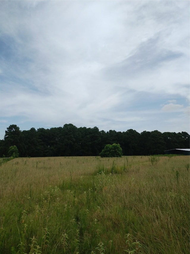6111 County Road 344, Navasota, TX 77868 - photo 3